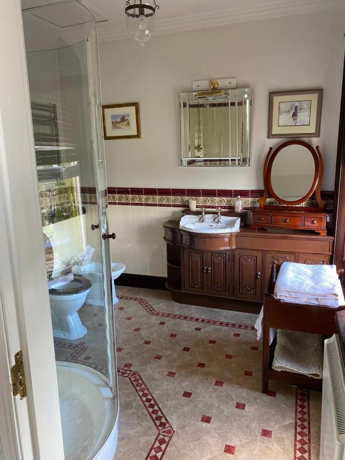 Victorian Villa 뉴 로스 외부 사진